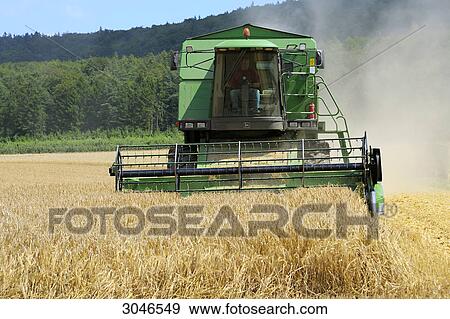 Combine harvester in corn field, Spessart, Bavaria, Germany, front view View Large Photo Image Stock Photo - Combine harvester in corn field, Spessart, Bavaria, Germany, front view . Fotosearch
