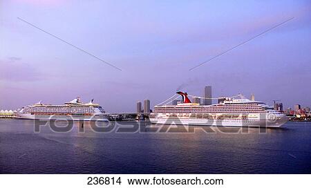 Picture - Cruise ships in sea, Biscayne Bay, Miami, Florida, USA . Fotosearch
