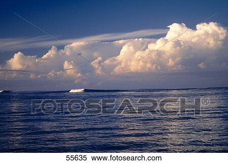 Cumulus clouds over sea, Galapagos Islands, Ecuador View Large Photo Image Stock Photography - Cumulus clouds over sea, Galapagos Islands, Ecuador . Fotosearch