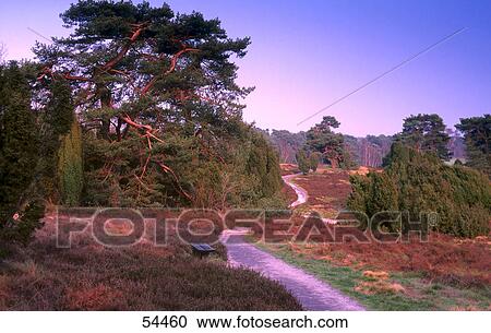Dirt road running through a landscape View Large Photo Image Stock Image - Dirt road running through a landscape . Fotosearch