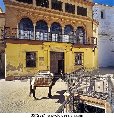 Stock Image - Donkey delivering bread, Carmona, Andalucia, Spain, Europe . Fotosearch