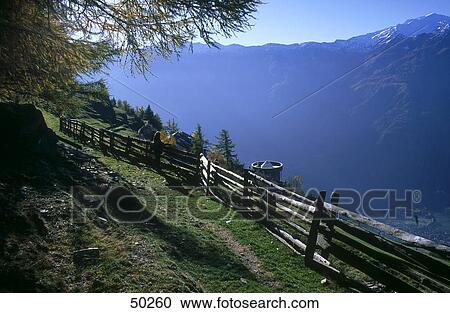 Fence along hiking trail on mountain, Eschtal valley, Alto Adige, Italy View Large Photo Image Stock Image - Fence along hiking trail on mountain, Eschtal valley, Alto Adige, Italy . Fotosearch