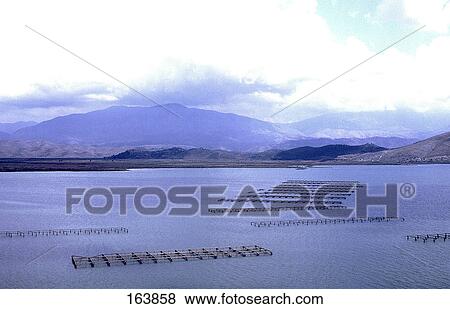 Fish farms in lake, Sarande, Vlore County, Albania View Large Photo Image Stock Photo - Fish farms in lake, Sarande, Vlore County, Albania . Fotosearch
