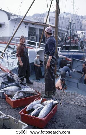 Fishermen unloading tuna fishes at harbor, Vigo, Pontevedra, Galicia, Spain View Large Photo Image Stock Image - Fishermen unloading tuna fishes at harbor, Vigo, Pontevedra, Galicia, Spain . Fotosearch