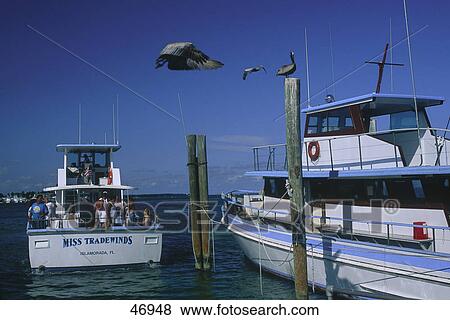 Fishing boats in sea, Islamorada, Key West, Florida, USA View Large Photo Image Stock Photo - Fishing boats in sea, Islamorada, Key West, Florida, USA . Fotosearch