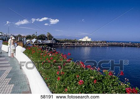 Stock Image - Flower plants at waterfront, Martianez Lake, La Laguna, Tenerife, Canary Islands, Spain . Fotosearch
