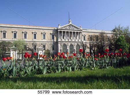 Flowers in garden in front of library, National Library, Madrid, Spain View Large Photo Image Stock Photo - Flowers in garden in front of library, National Library, Madrid, Spain . Fotosearch