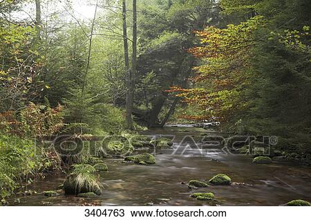 Forest stream, Baden-Wuerttemberg, Germany View Large Photo Image Stock Image - Forest stream, Baden-Wuerttemberg, Germany . Fotosearch