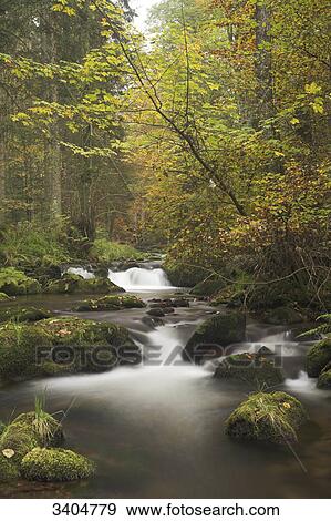 Forest stream, Baden-Wuerttemberg, Germany View Large Photo Image Stock Photo - Forest stream, Baden-Wuerttemberg, Germany . Fotosearch
