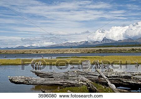 Green Lagoon, Tierra del Fuego, Argentina View Large Photo Image Stock Image - Green Lagoon, Tierra del Fuego, Argentina . Fotosearch