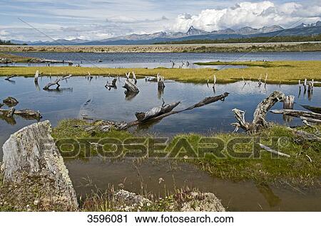Green Lagoon, Tierra del Fuego, Argentina View Large Photo Image Stock Image - Green Lagoon, Tierra del Fuego, Argentina . Fotosearch