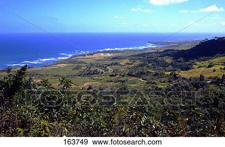 High angle view of a coastline, Barbados, West Indies View Large Photo Image Stock Photo - High angle view of a coastline, Barbados, West Indies . Fotosearch