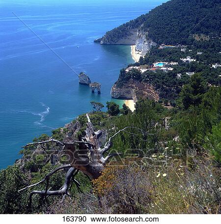 High angle view of buildings at the coast, Gargano, Apulia, Italy View Large Photo Image Stock Image - High angle view of buildings at the coast, Gargano, Apulia, Italy . Fotosearch
