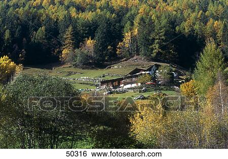 High angle view of farmhouse, Martell, Trentino-Alto-Adige, Italy View Large Photo Image Stock Photograph - High angle view of farmhouse, Martell, Trentino-Alto-Adige, Italy . Fotosearch