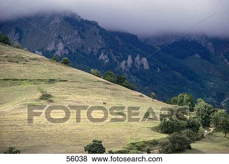 Stock Photo - High angle view of mountain, Cantabria, Spain, Europe . Fotosearch
