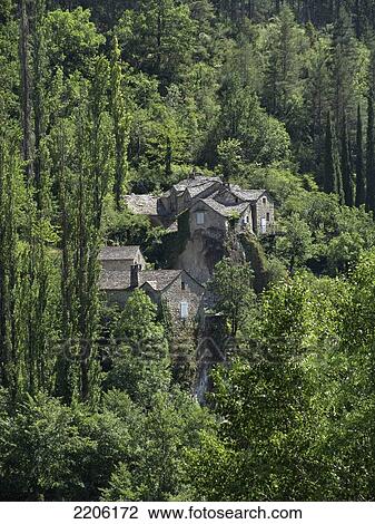 High angle view of trees around house, Le Rozier, Languedoc-Roussillon, France View Large Photo Image Stock Image - High angle view of trees around house, Le Rozier, Languedoc-Roussillon, France . Fotosearch