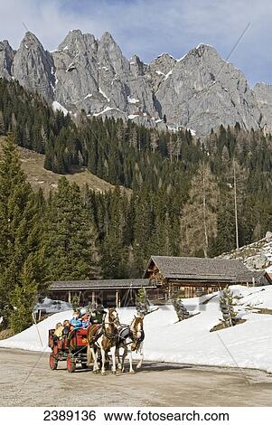 Horse cart on road with mountains in background, Hoher Dachstein, Alps, Austria View Large Photo Image Stock Photograph - Horse cart on road with mountains in background, Hoher Dachstein, Alps, Austria . Fotosearch