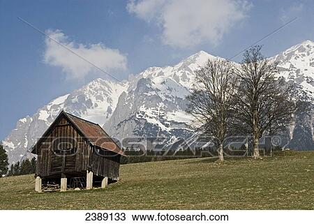 Hut in field with mountain range in background, Dachstein Mountains, Ramsau am Dachstein, Liezen, Styria, Austria View Large Photo Image Stock Image - Hut in field with mountain range in background, Dachstein Mountains, Ramsau am Dachstein, Liezen, Styria, Austria . Fotosearch