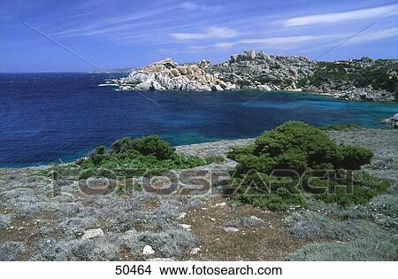 Picture - Island in sea, Sardinia, Capotesta, Italy . Fotosearch