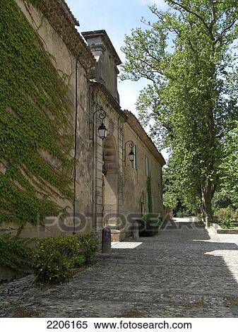 Stock Photography - Ivy covering walls of building, Languedoc Roussillon, France . Fotosearch