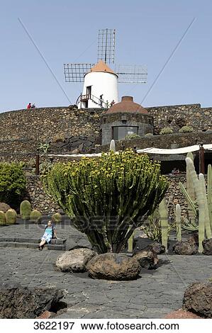Jardin de Cactus, Guatiza, Lanzarote, Canary Islands, Spain, Europe View Large Photo Image Stock Photo - Jardin de Cactus, Guatiza, Lanzarote, Canary Islands, Spain, Europe . Fotosearch