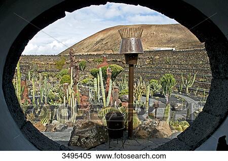 Stock Photography - Jardin de Cactus, Guatiza, Lanzarote, Canary Islands, Spain, Europe . Fotosearch