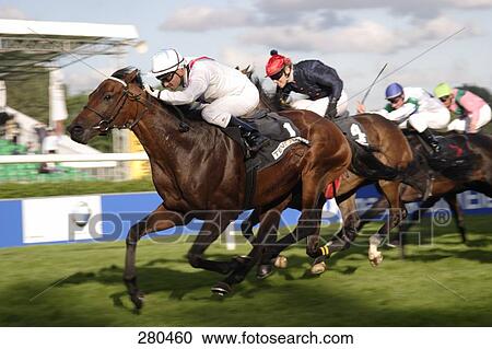 Jockeys riding horses in race View Large Photo Image Stock Image - Jockeys riding horses in race . Fotosearch