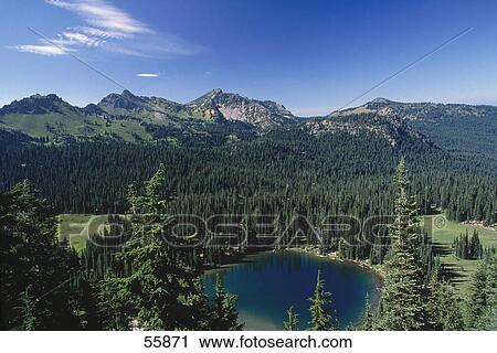 Stock Image - Lake surrounded by trees, Cascade Range, Mount Rainier National Park, Washington State, USA . Fotosearch