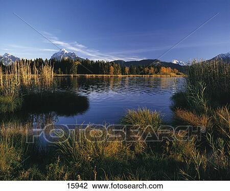 Lake with mountain range in background, Hopfensee, Allgau, Bavaria, Germany View Large Photo Image Stock Image - Lake with mountain range in background, Hopfensee, Allgau, Bavaria, Germany . Fotosearch