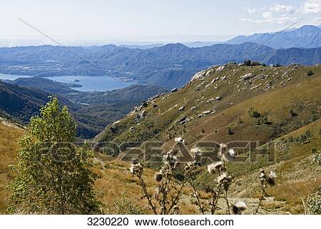 Landscape in Piedmont, Lake Orta in the background, Italy, high angle view View Large Photo Image Stock Image - Landscape in Piedmont, Lake Orta in the background, Italy, high angle view . Fotosearch