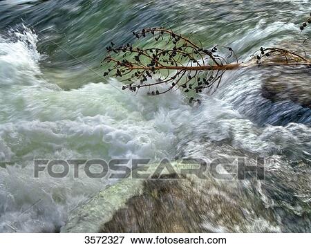 Stock Photo - Le Hardy Rapids, Yellowstone River, Yellowstone National Park, Montana, USA . Fotosearch
