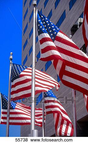 Low angle view of American flags, Miami, Florida, USA View Large Photo Image Stock Photo - Low angle view of American flags, Miami, Florida, USA . Fotosearch