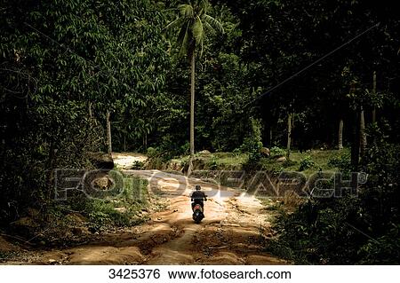 Stock Photograph - Moped rider on a forest road, Ko Phangan, Thailand, rear view . Fotosearch