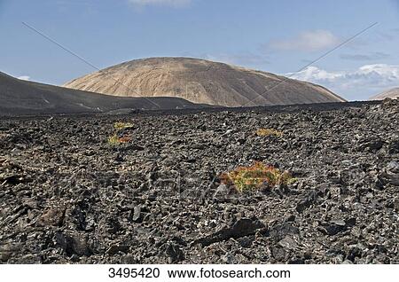 Stock Image - National Park Timanfaya, Lanzarote, Canary Islands, Spain, Europe . Fotosearch
