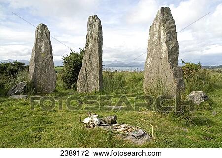 Neolithic stone circle on landscape, Ardgroom, Munster, Ireland View Large Photo Image Stock Image - Neolithic stone circle on landscape, Ardgroom, Munster, Ireland . Fotosearch