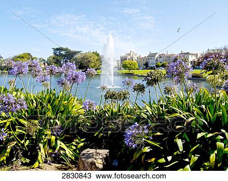 Stock Image - Palace of Fine Arts, San Francisco, California, USA . Fotosearch
