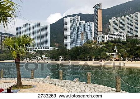 Palm tree overlooking beach, Repulse Bay, Hong Kong Island View Large Photo Image Stock Photo - Palm tree overlooking beach, Repulse Bay, Hong Kong Island . Fotosearch