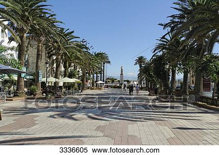 Stock Photography - Pedestrian area with palm trees, Spain . Fotosearch
