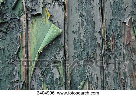 Peeling paint on an old wooden door, Texel, Netherlands, detail View Large Photo Image Stock Photograph - Peeling paint on an old wooden door, Texel, Netherlands, detail . Fotosearch