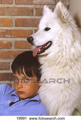 Portrait of a boy with a white dog View Large Photo Image Stock Image - Portrait of a boy with a white dog . Fotosearch