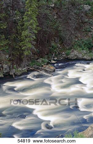 Stock Photo - Rapid passing through forest, Firehole River, Yellowstone National Park, Wyoming, USA . Fotosearch