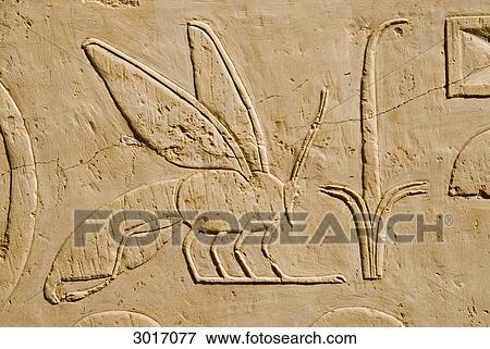 Relief on a wall of the Temple of Hatshepsut, Luxor, Egypt, close-up View Large Photo Image Stock Photo - Relief on a wall of the Temple of Hatshepsut, Luxor, Egypt, close-up . Fotosearch