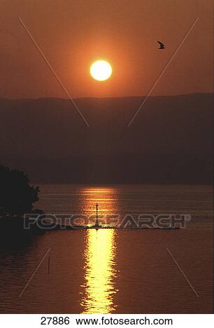 River at sunset, Ria De Arosa, Pontevedra, Galicia, Spain View Large Photo Image Stock Photograph - River at sunset, Ria De Arosa, Pontevedra, Galicia, Spain . Fotosearch