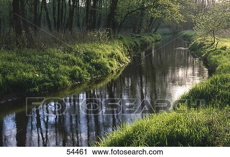 River flowing through a forest, Luneburger Heide, Germany View Large Photo Image Stock Image - River flowing through a forest, Luneburger Heide, Germany . Fotosearch