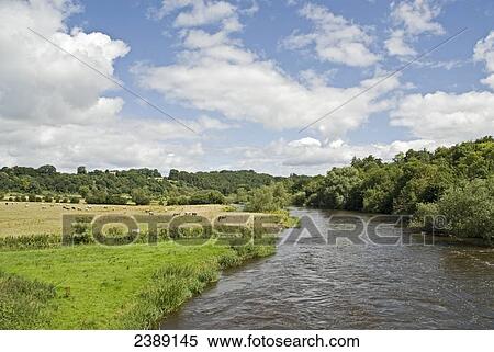 River flowing through forest, River Boyne, Boyne Valley, County Meath, Leinster, Ireland View Large Photo Image Stock Photography - River flowing through forest, River Boyne, Boyne Valley, County Meath, Leinster, Ireland . Fotosearch