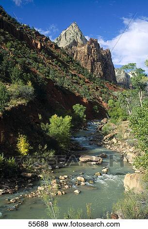 River flowing through forest, Virgin River, Zion National Park, Utah, USA View Large Photo Image Stock Photo - River flowing through forest, Virgin River, Zion National Park, Utah, USA . Fotosearch