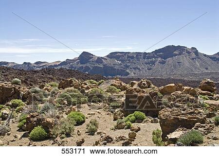 Rock formations on volcanic landscape, Pico De Teide, El Teide National Park, Tenerife, Canary Islands, Spain View Large Photo Image Stock Image - Rock formations on volcanic landscape, Pico De Teide, El Teide National Park, Tenerife, Canary Islands, Spain . Fotosearch