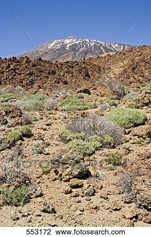 Stock Image - Rock formations on volcanic landscape, Pico De Teide, El Teide National Park, Tenerife, Canary Islands, Spain . Fotosearch