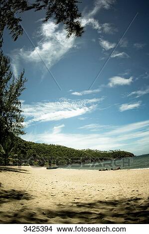 Picture - Sandy beach of Ko Phangan, Thailand . Fotosearch