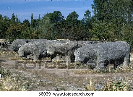 Stock Photo - Side profile of statues of bulls, Avila, Spain, Europe . Fotosearch